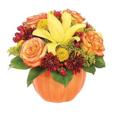 Harvest Pumpkin Celebration